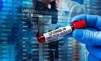Британские ученые заявили об «отсутствии доказательств» того, что штамм «Омикрон» менее серьезен, чем «Дельта»