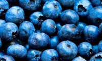 Бруснику и голубику признали самыми полезными ягодами