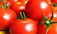 Цены на томаты подскочили в преддверии турецкого эмбарго на 6,6%