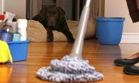 Частая уборка продлевает срок службы напольного покрытия