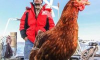 Человек переплыл Атлантический океан вместе с курицей