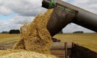 Чем обернется для РФ высокий урожай зерна