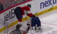 «Чемпионат»: Американский хулиган избил лежащего на льду Кучерова – видео подлого поступка Ткачука