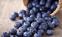 Черника предотвращает слабоумие