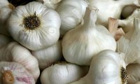 Чеснок поможет победить рак
