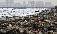 Число жалоб на запах с полигона "Кучино" сократилось в 15 раз