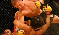 Что такое Mixed Martial Arts или MMA