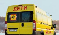 Детские перевозки могут забрать у частных компаний