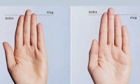 Длина пальцев укажет на доходы человека
