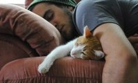 Для продления жизни мужчинам стоит завести кошку