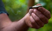 Дым марихуаны опасен так же, как дым табака
