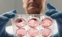 Еда будущего будет готовиться в пробирке