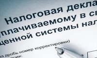 «Единая Россия»: Руководители СМИ не будут декларировать свои доходы