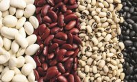 Фасоль оказалась источником долголетия