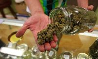 Главные производители каннабиса в штате Нью-Йорк столкнулись с трудностями при выходе на рынок рекреационной марихуаны