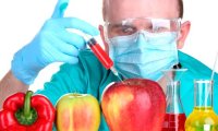 ГМО: регистрация отложена на 3 года