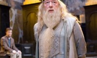 Исполнитель роли Дамблдора ушел из театра из-за потери памяти