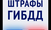 Как отслеживать штрафы ГИБДД в организациях