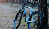 Как выбрать велосипед для леса