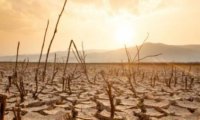 Катастрофический прогноз: как изменение климата уничтожит 40% мировой экономики