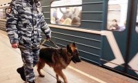 Кинологи проверят подозрительный предмет на станции метро «Курская»