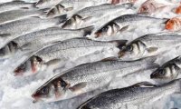Китай заморозил поставки рыбы из России