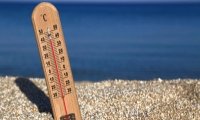 Климатологи назвали самый жаркий год в истории 