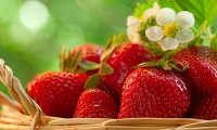 Клубника может навредить здоровью человека