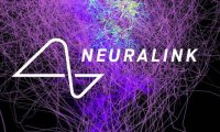 Компания Илона Маска по производству мозговых имплантатов получила одобрение на клинические исследования на людях