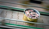 Консервированный фальсификат. Сардины и сельдь производители стали выдавать за сайру