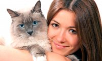 Кошки предотвращают многие болезни у хозяев