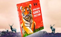 Красная книга потускнела