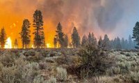 Крупные пожары охватили более 1 млн акров лесов на западе США