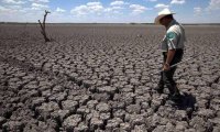 Кто выиграл, а кто проиграл от масштабной засухи в секторе сельского хозяйства США 