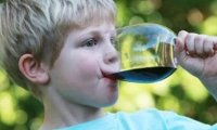Культура пития: в Госдуме советуют приучать детей к хорошему спиртному