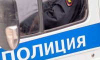 Лысую девушку нашли мертвой в лесу в Понтонном