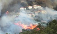 Мадейру охватили лесные пожары