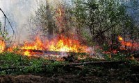 МЧС смогло  минимизировать потери от природных пожаров в 2015