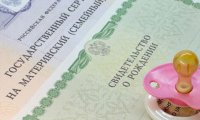 Минтруд против альтернативы маткапитала