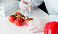 Минздрав Японии разрешит продажу ГМО-продуктов