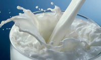 Молочные закваски: надежда на импортозамещение