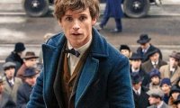 Молодой Альбус Дамблдор появится в сиквеле «Фантастических зверей»