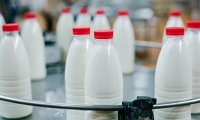 Молоко подорожает: борьба с молочным фальсификатом в России обернется проблемой для потребителей