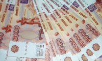 Москвичка украла 3,5 млн рублей и потратила их на зоопарк, такси и еду