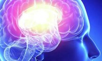 Мозг человека легко может создавать ложные воспоминания