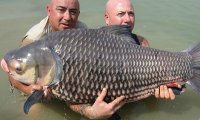 На чемпионате в Испании украинские рыбаки поймали почти 100 килограмм карпа