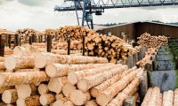 На Дальнем Востоке будет лесопромышленный кластер