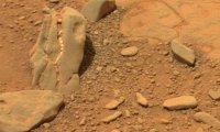 На Марсе нашли останки динозавров