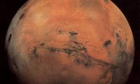 На Марсе обнаружилась голова гигантской обезьяны