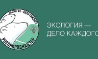 На международную премию «Экология – дело каждого» подано рекордное количество заявок